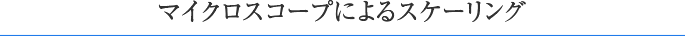 マイクロスコープによるスケーリング